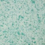 Silk Plaster Victoria 701 designer liquid wallpaper sample