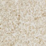 Close-up of Silk Plaster Relief 322, coarse cream fibre texture with raised relief