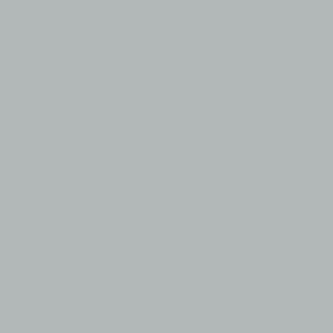PrimeColor 5 colour swatch B11, pale grey-blue flat matt tile