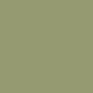 PrimeColor 5 colour swatch B36, olive green flat matt tile