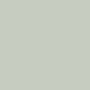 PrimeColor 5 colour swatch B3, pale sage grey-green flat matt tile