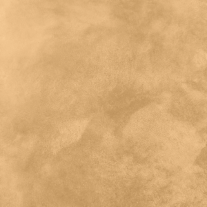 Close-up of Nappa Brush velvet-effect paint texture in shade N29, warm honey tan