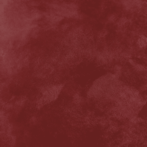 Close-up of Nappa Brush velvet-effect paint texture in shade N45, deep burgundy red