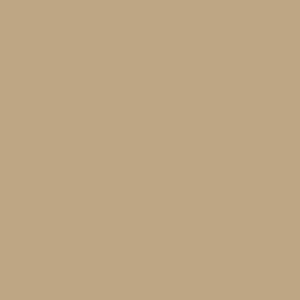 PrimeColor 5 colour swatch B30, warm caramel tan flat matt tile