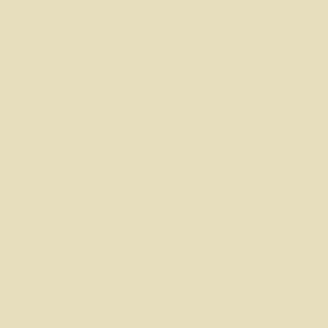 PrimeColor 5 colour swatch B32, pale khaki cream flat matt tile