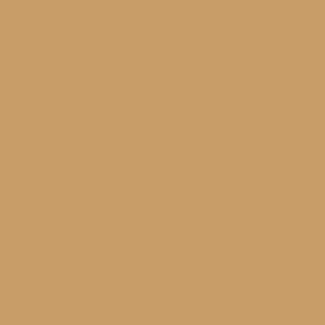 PrimeColor 5 colour swatch B29, golden tan flat matt tile