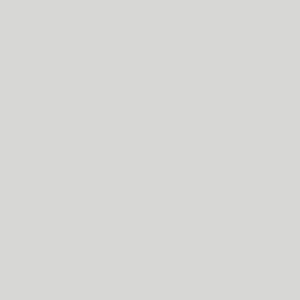 PrimeColor 5 colour swatch B5, pale grey flat matt tile