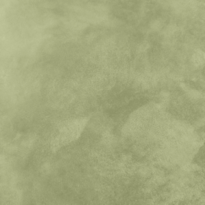 Close-up of Nappa Brush velvet-effect paint texture in shade N36, sage olive-green