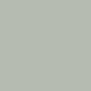 PrimeColor 5 colour swatch B4, sage green flat matt tile