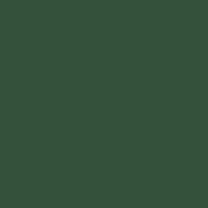 PrimeColor 5 colour swatch B42, deep forest green flat matt tile