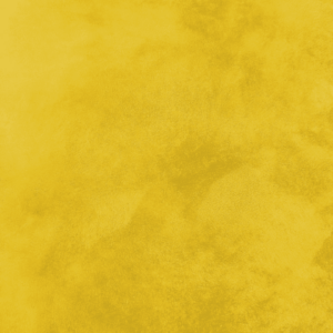 Close-up of Nappa Brush velvet-effect paint texture in shade N44, bright golden yellow