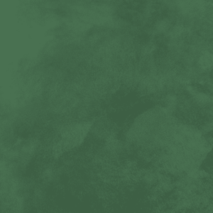 Close-up of Nappa Brush velvet-effect paint texture in shade N42, dark forest green