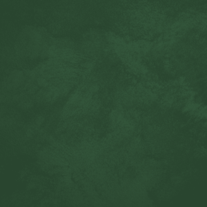 Close-up of Sabbia sand-effect paint texture in shade SA42, dark forest green