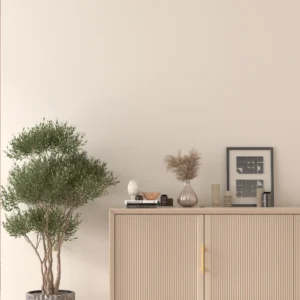 Silk Plaster Premium Paints — eco-friendly interior wall paint in soft neutral shade