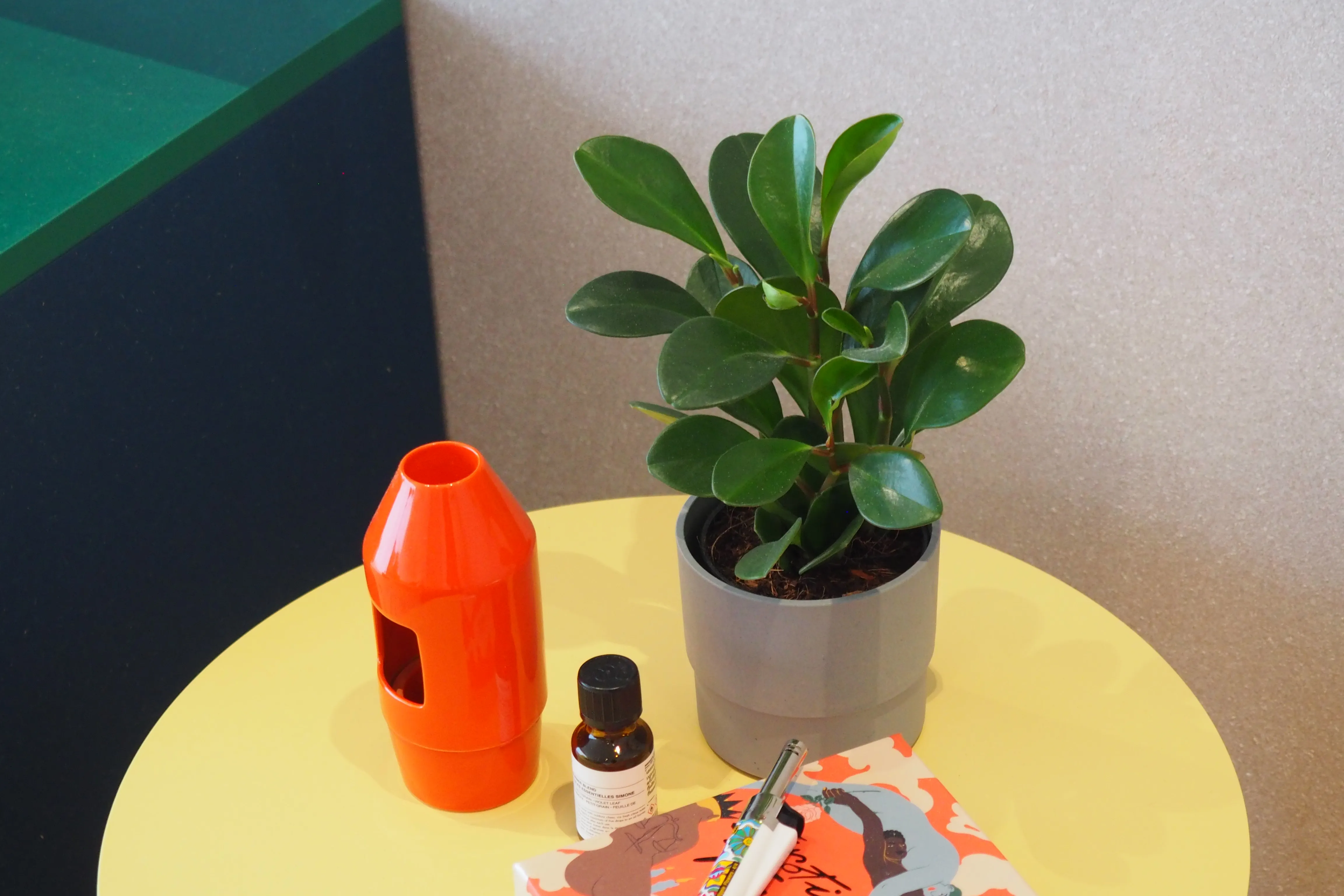 Alom Ari Residence — Wall coating detail