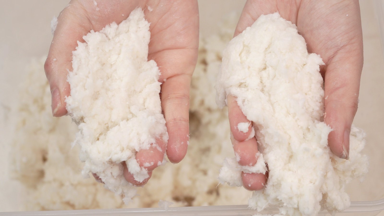 Two hands holding the Silk Plaster cotton and cellulose fibre blend before mixing